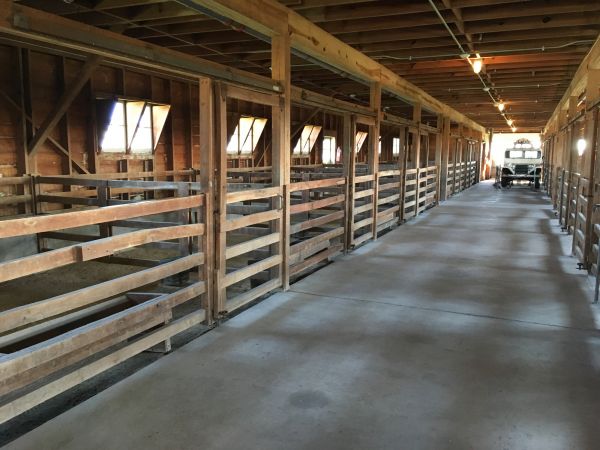 Barn Floor Pouring in Pueblo