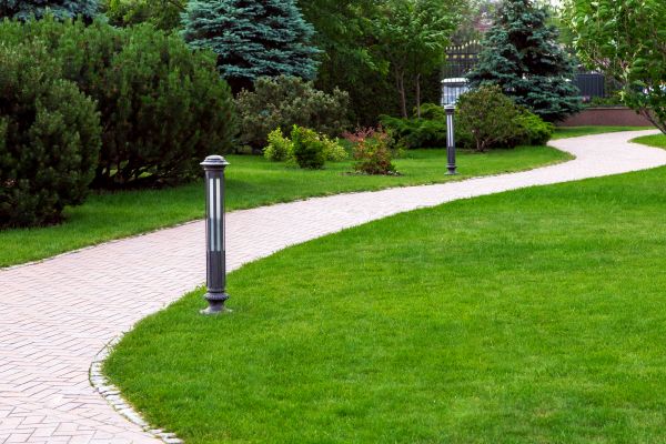 Backyard Sidewalk Installation in Pueblo