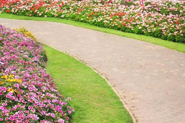 Concrete Walkway Service in Pueblo