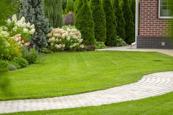 Landscape Walkway Installation in Pueblo